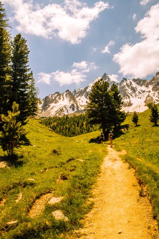 Trail winding through a green valley toward snowy peaks